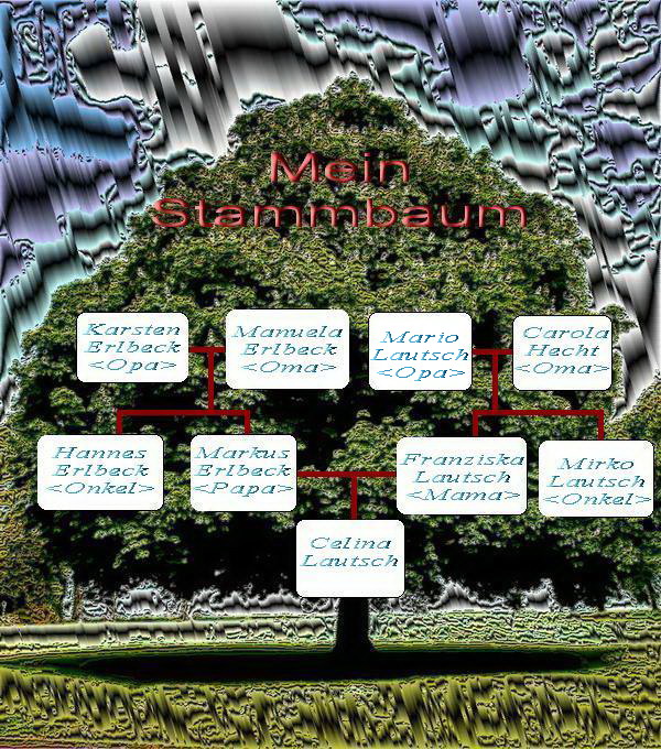 baum3.jpg