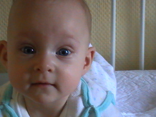pic0230.jpg