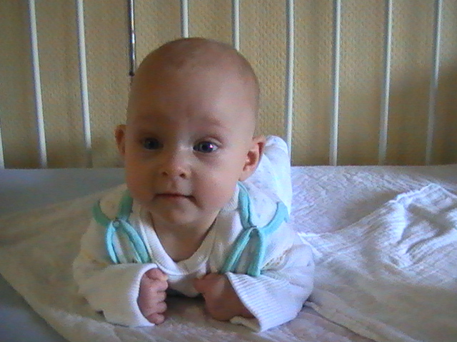 pic0231.jpg