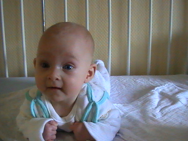 pic0233.jpg