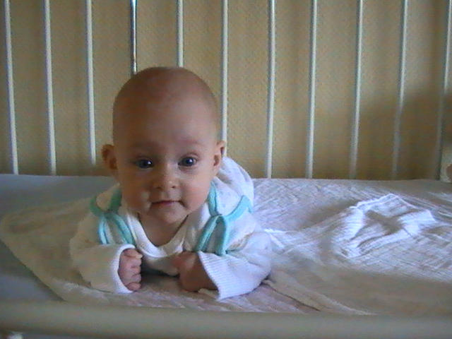 pic0237.jpg
